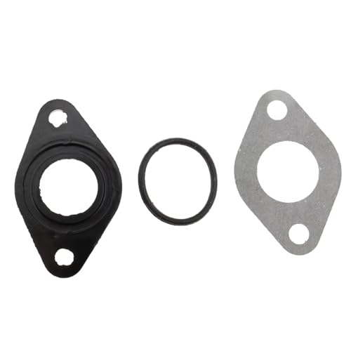 Carburateur PZ19 Dirtbike 110cc 125cc 150cc 200cc 250cc avec collecteur Nero