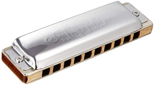 Seydel サイドル ハーモニカ ブルース 10穴 SOLIST PRO C ソリスト プロ C g6bh9ry 31hxW8L367L.jpg