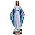 HOLLOII Blessed Virgin Mary Statue 19 Inch with Shining Blue Dress Our Lady of Grace Religious Resin Home Decorative Mary Figurine Catholic Gifts