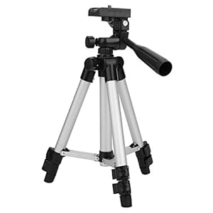 Visstandaard Vissen Licht statief Lichtgewicht statief Draagbaar visstatief voor zoetwatervissen voor kamperen