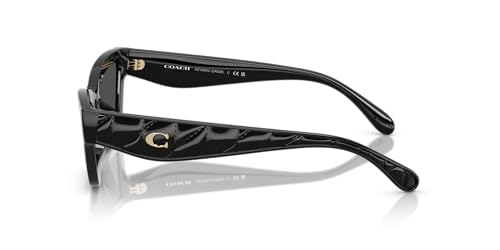 Coach Women's Hc8420u Universal Fit Rectangular Sunglasses3