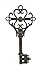 Black & Gold Metal Key