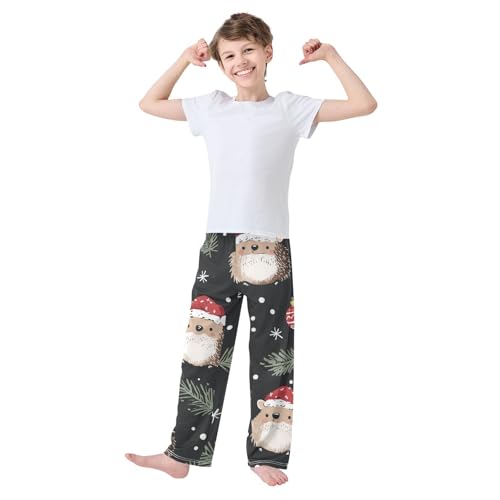 ZZXXB Christmas Hedgehog Snow Boys Long Pants Soft Trousers Elastic Waist Kids Lounge Bottoms with Pockets S-XL2