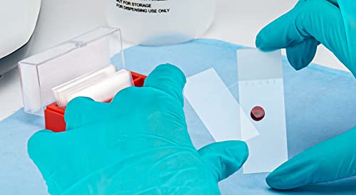 Globe Scientific 1415-10 Cover Glass, 24 X 50Mm, No. 1 Thickness (Case Of 10) #TOP6