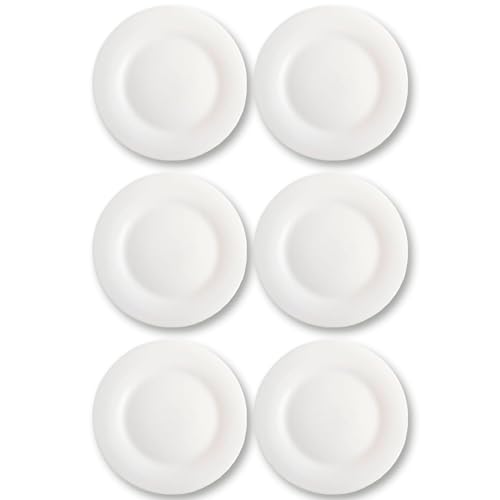ACAN Tradineur - Pack de 6 Platos Modelo Elba Llano - 25 cm - Material Resistente - Apto para lavavajillas y microondas - Ideal para el hogar, cocina y hosteleria.