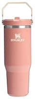 Stanley IceFlow 2.0 Flip Straw Tumbler with Handle 30 oz | Twist On Lid and Flip Up Straw | Leak Resistant Water Bottle | Insulated Stainless Steel | BPA-Free | Exclusive Sienna