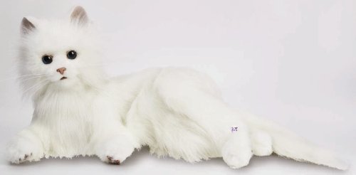 夢ねこ ヴィーナス ホワイト