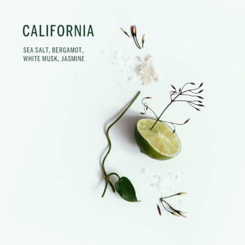 CORPUS - California Natural Plant-Based Deodorant | Vegan, Cruelty-Free, Non-Toxic, Made In The USA - Image 4