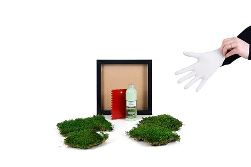 Bodengrund Kugelmoos für Terrarium - Terrarien Boden für Reptilien Natur Moos echte Mooskugeln Einstreu Moosgrund dicker Moosteppich Deko Moss für Terraristik Regenwaldterrarium (1 Kiste Kugeln)