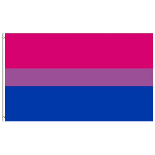 Bisexual Pride Flag 2x3 FT Bi Flag LGBTQ Bisexual Banner for Pride Month Parade Outdoor UV Fade Resistant Polyester Flag with Brass Grommets