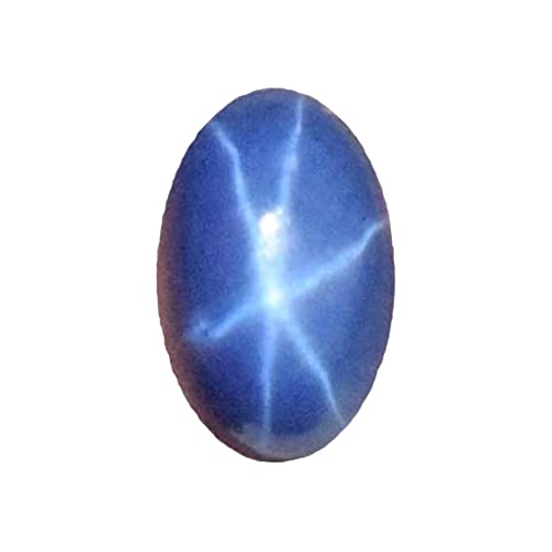 GEMHUB X^[Tt@CATt@CA 2.65Jbg [X 6C ȉ~` J{V  w֗p