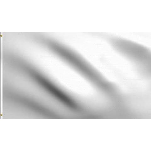 DMSE Solid Blank Flag 2X3 Ft Foot Flag UV Resistant (2x3 Nylon, White) Cover