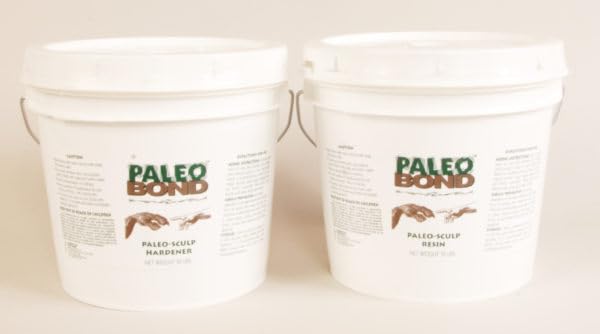 PB121 Kit PaleoSculp 20# Jurassic Brown Box Accessoire Pierre Minérale Cristal de Roche PB12120/3