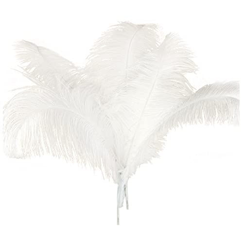 Plumas de avestruz para manualidades, lote de 20 unidades de color para disfraces y hogar 3
