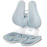 ZZWS Foldable Ergonomic Back and Lumbar Support with Adjustable Inflatable Lumbar Cushion for Good Posture Correction and Back Pain Relief, Perfect for Office, Floor Seat and Work from Home