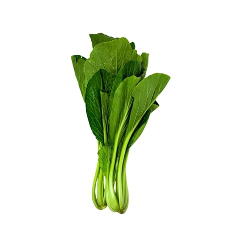 ZENXIN Organic Sweet Choy Sum 200g