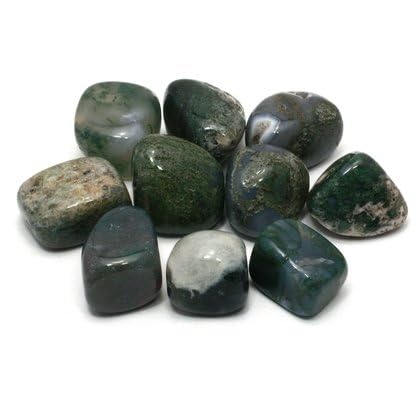 Moss Agate Tumble Stones (20-25mm) - Pack of 10