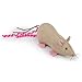 Petlinks Refillable Catnip Cat Toys