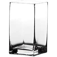 Jarrón Cuadrado de Vidrio Transparente de 10x10x18 cm