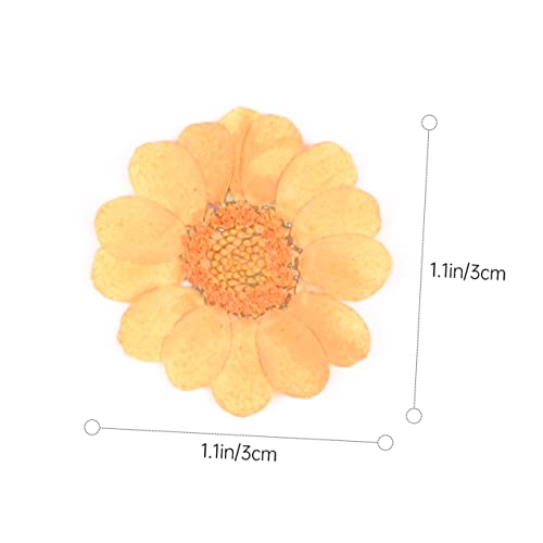 Kit de flores prensadas secas realistas 40 piezas miniatura 2