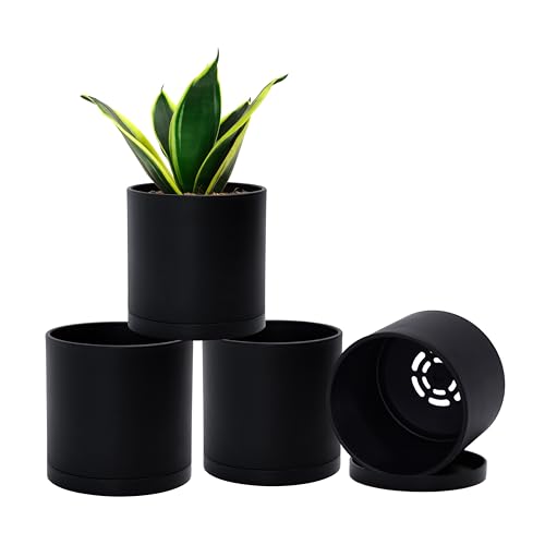D'vine Dev 4-Pack Black Plastic Planters with Saucers, 4.5 in, 74-Y-F-2