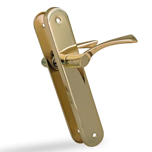 Amig - Lot de 2 poignées avec plaques ovales en acier et poignée de tirage en zamak avec finition en laiton verni pour portes intérieures de passage - 237 x 40 mm - Béquille 120 mm | Vis incluses