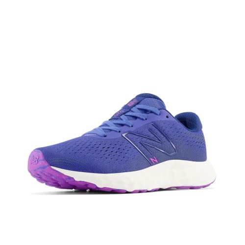 Image of New Balance Women's 520 V8 Shoes