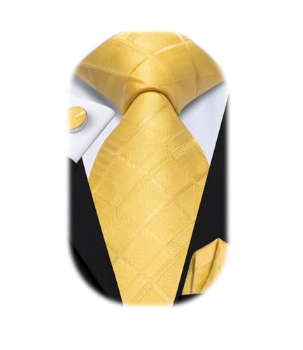 Image of Dubulle Mens Paisley Floral Silk Tie for Men Striped Necktie and Pocket Square Cufflinks Set Wedding Business