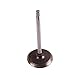 Omix-Ada 17417.07 Intake Valve