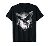 Weißkopfseeadler Fliegen Natur