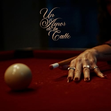 Un Amor De La Calle