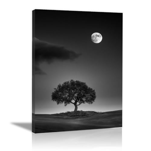 Cuadro abstracto de atardecer TODOAA en lienzo enmarcado blanco y negro para pared de 20x30cm