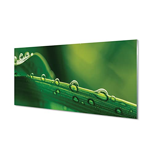 Impression sur verre 140 x 70 cm Tulup pour décoration haut de gamme
