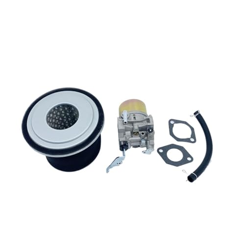 Filtre de carburateur pour RGX3500 afin de stabiliser le moteur