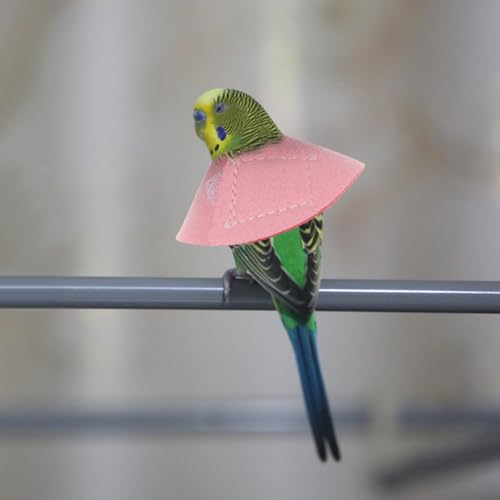 Perroquet col de grattement de protection durable pour grands oiseaux