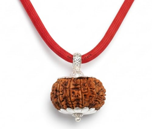 ASTRO CARE INDIA 9 Mukhi Rudraksha Original Certified Nepali Big ...