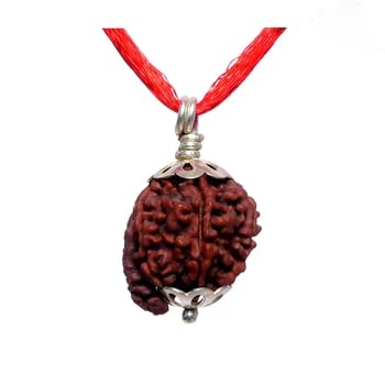 ELARIS CRYSTALS Auspicious Ganpati Rudraksha Original Certified Pure Nepali Ganesh Rudraksha Pendant with Silver Capping & Red Thread गणेश रुद्राक्ष ओरिजिनल Nepali Rudraksh for Men & Women-image-47