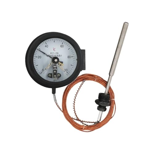 Thermomètre à pression WTZ-288 avec double contact électrique 20-120℃