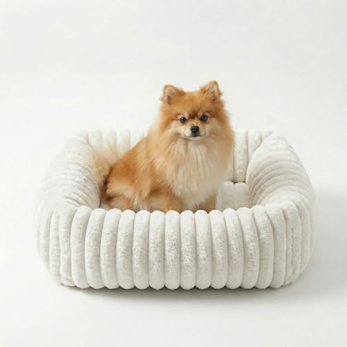 CareCooo Hundebett kleine Hunde & Hundekorb, Hundekörbchen waschbar, Hundesofa & Small Dog Bed rechteckig, Flauschiges Hundekissen für Welpen, weiß, M(63x53x18cm)