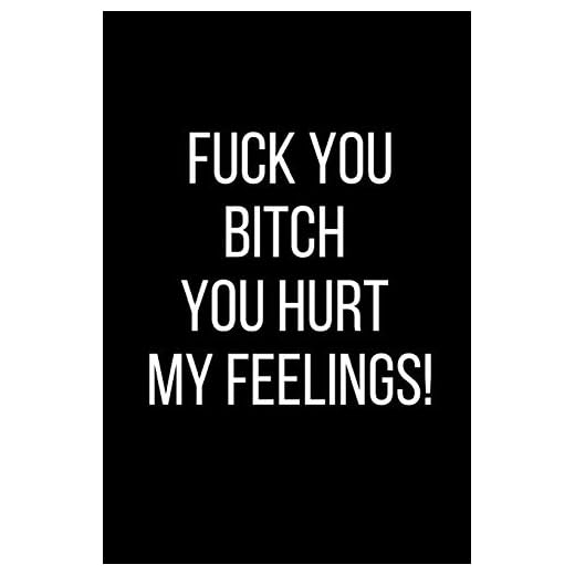 Fuck You Bitch You Hurt My Feelings!: Hurt Feelings Emotional Heartbroken Anger Management Blank Lined Journal-120 Pages 6 x 9