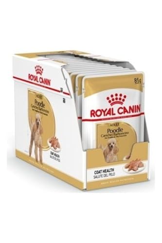 Royal Canin Poodle Adult | 12 x 85 g | Nassfutter für ausgewachsene und ältere Pudel | Ab dem 10. Lebensmonat | Zur Unterstützung des Fells | Mit Einer schmackhaften Textur