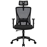 Durrafy Office Chair, Ergonomic Office Chair with Adjustable Armrests Headrest and Lumbar Support 130° Tilt Function High-Back Mesh Desk Chair Suitable for Homes/Offices,150kg Capacity, Black