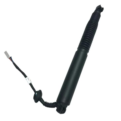 Supports de levage de hayon arrière modèle 3 2021-2023