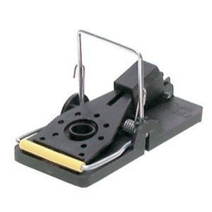 Kness Snap-E Mouse Trap 24-Pack