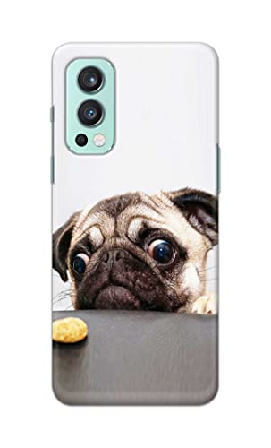 Image of PRINTFIDAA� Printed Hard Back Cover Case for OnePlus Nord 2 5G Back Cover (Pug Dog) -2808