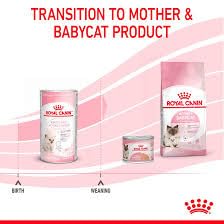 Royal Canin Babycat Milk | 300 g | Milchaustausch-Futtermittel für Katzenwelpen | Von der Geburt bis zur Entwöhnung (0-2 Monate)| Für ein harmonisches Wachstum
