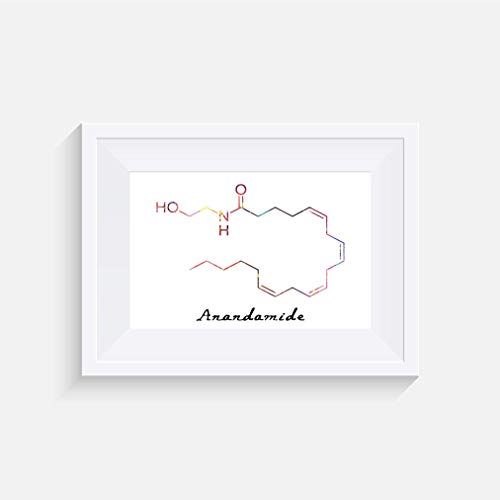 Molekül Anandamid Inspirier - Drucken - Poster - Aquarell - Wandkunst- verschiedene Größen(Rahmen Nicht Inbegriffen)