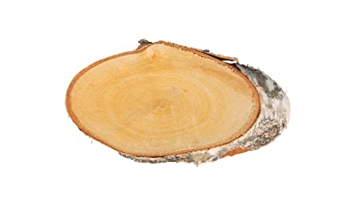 RAYHER 85439000 Birch Disc Oval Natural 21/23 cm x 2 cm Height – Bag
