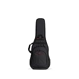 ACCESS AB2DBEG1 エレキギター用2本収納ギグバッグ