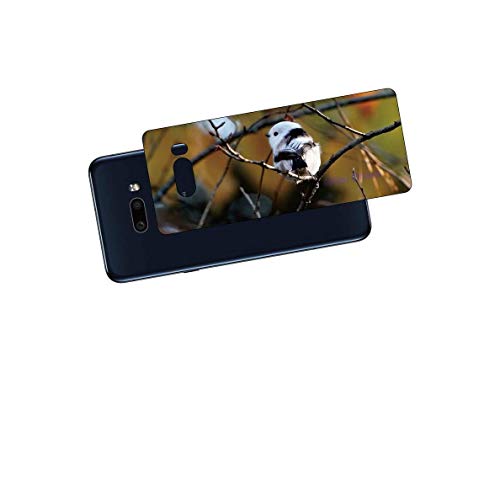 ClearView LG G8X ThinQ 901LG�Ή� �w�ʕی�t�B���� ���킢���V�}�G�i�K�̃v�����g(Photo by ������)